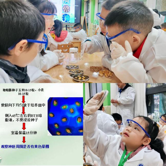 b6aff4d0ead41f8f25cb8874b278199 b6aff4d0ead41f8f25cb8874b278199