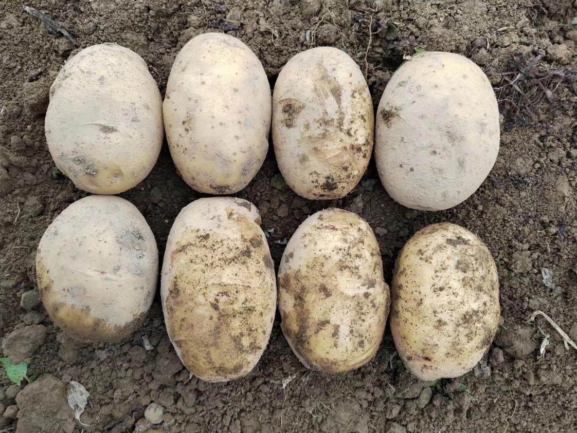 eefacef05806b9c8e064e0b6378356e eefacef05806b9c8e064e0b6378356e